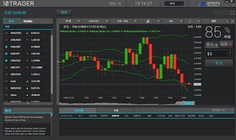 投资软件报价与厂家选择指南